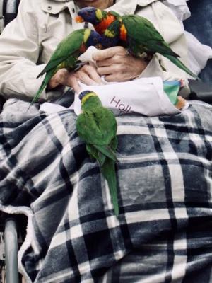 Avifauna 2024