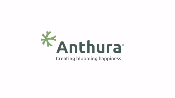 Anthura