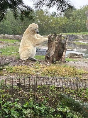 Blijdorp 2025